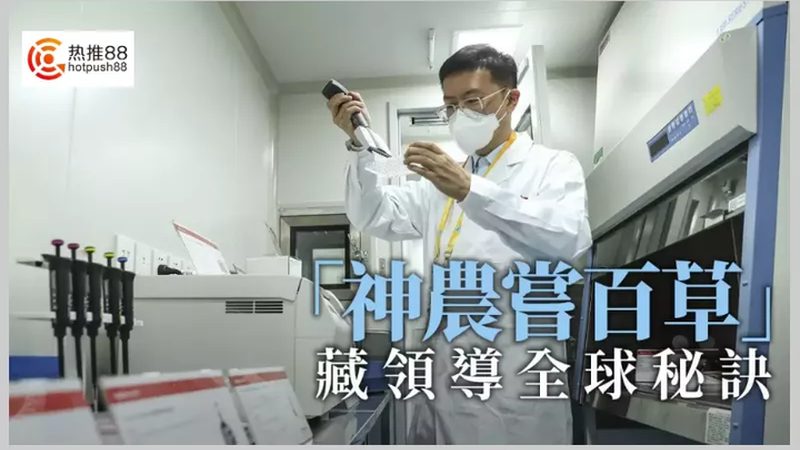 CHO细胞培养基：揭秘其关键特性与应用**