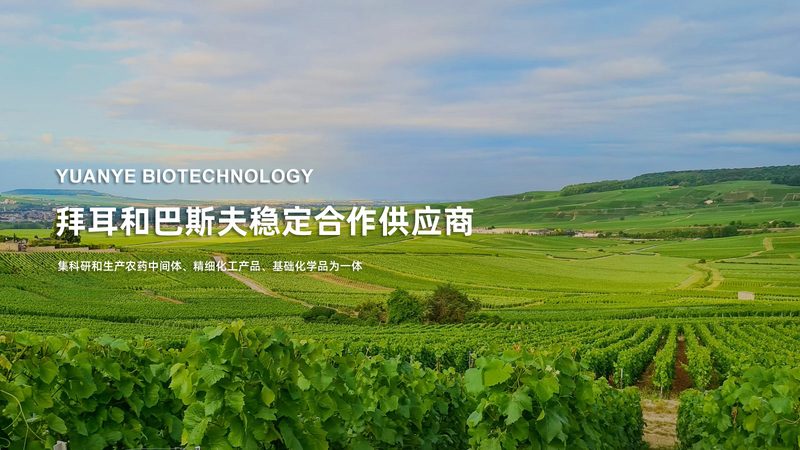 儿童天赋基因检测：揭秘背后的科学奥秘**