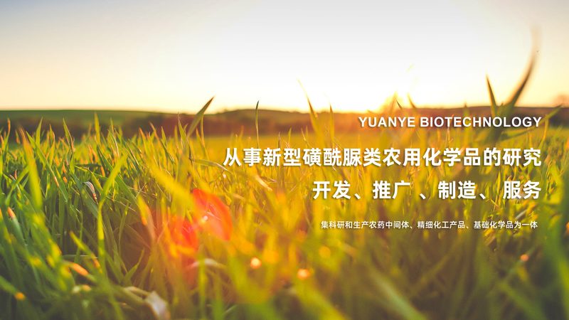 成都生物科技公司招聘：人才战略助力行业发展**