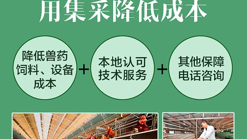 PCR检测结果可靠性分析：关键要素与评估方法