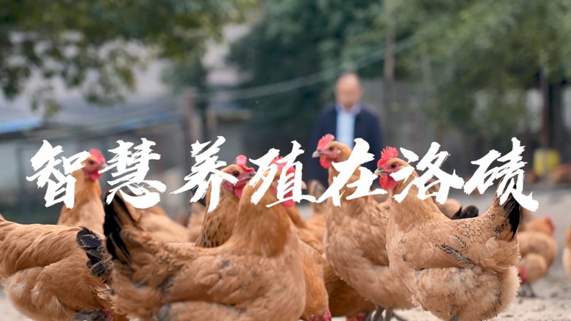 诊断试剂生物制品，如何选择靠谱的厂家？**