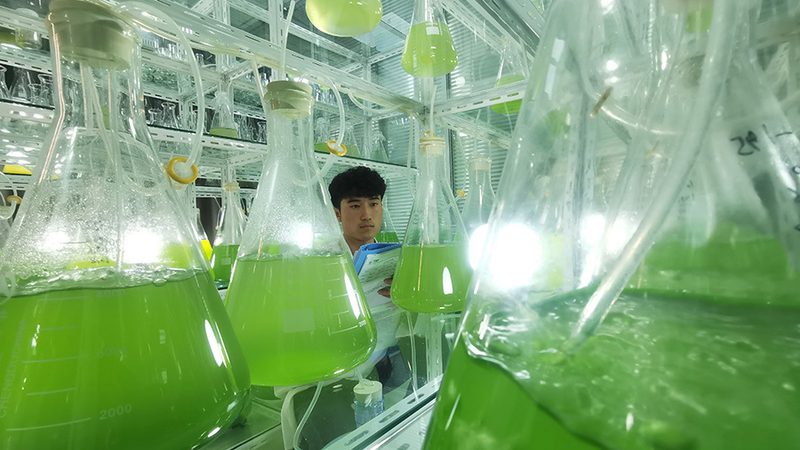 离心管定制：如何选择合适的报价单？**